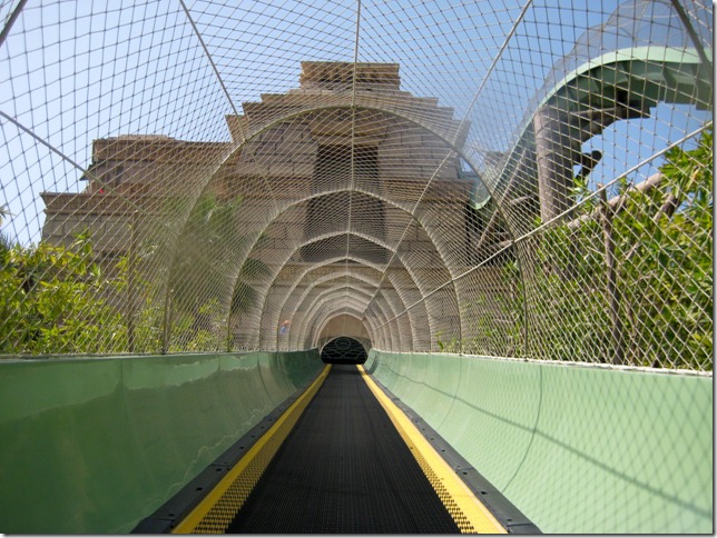 2009 02 09 Dubai IMG_2612