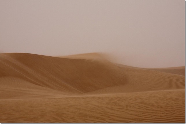 2009 02 12 Dubai Desert Tour_-17