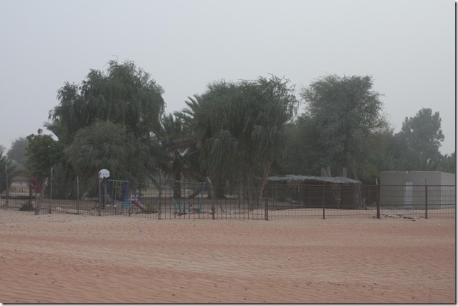 2009 02 12 Dubai Desert Tour_-33