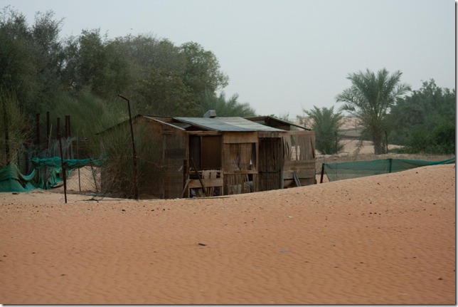 2009 02 12 Dubai Desert Tour_-34