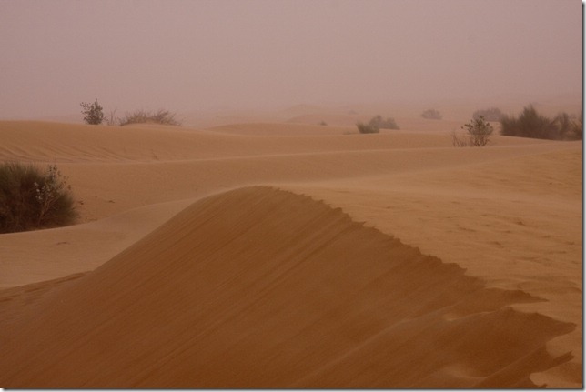 2009 02 12 Dubai Desert Tour_-7