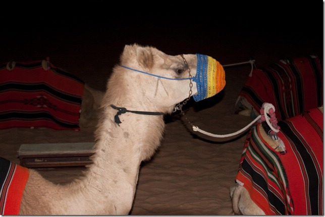 2009 02 12 Dubai Desert Tour_-76