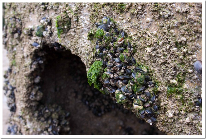 2009 05 03 Sword Beach Normandy (20)