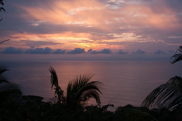 2010 03 19 12 43 Costa Rica_-2