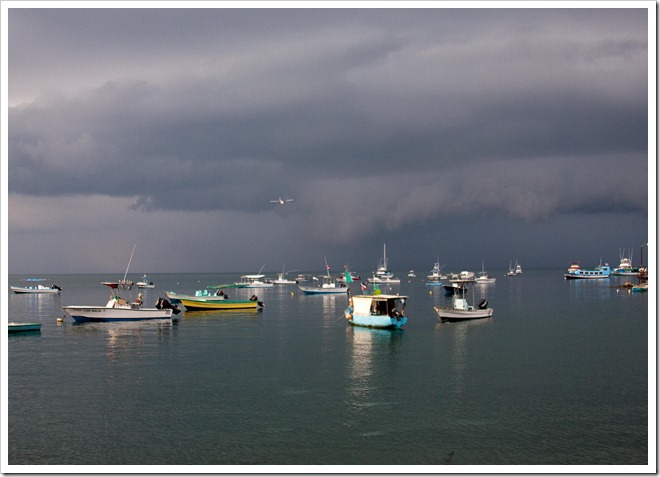 2010 March 15 Puerto Jimenez CR _-14