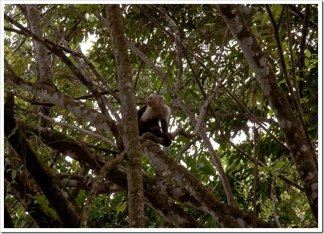 2010 March 15 Puerto Jimenez CR _-18