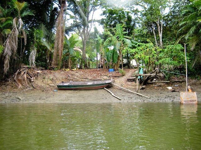 2010 March 17 Kayaking_-15 2010 March 17 Kayaking_-15