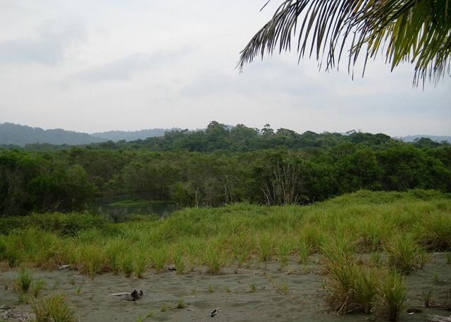 2010 March 17 Kayaking_-26 2010 March 17 Kayaking_-26