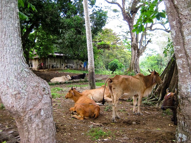 2010 March 17 Kayaking_-4 2010 March 17 Kayaking_-4