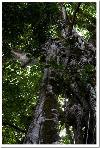 2010 03 16 17 15 Costa Rica_-2