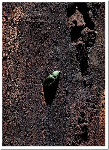 2010 03 16 19 10 Costa Rica_