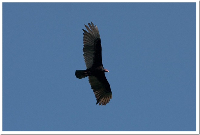 2010 03 18 22 40 Costa Rica_