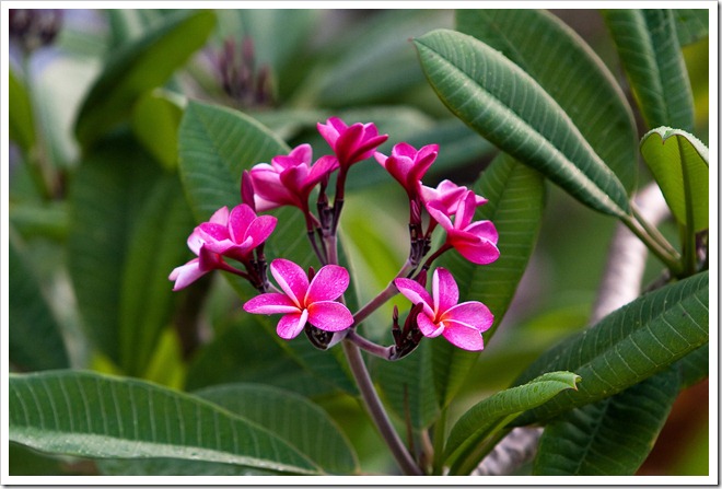 2010 03 19 13 10 Costa Rica_