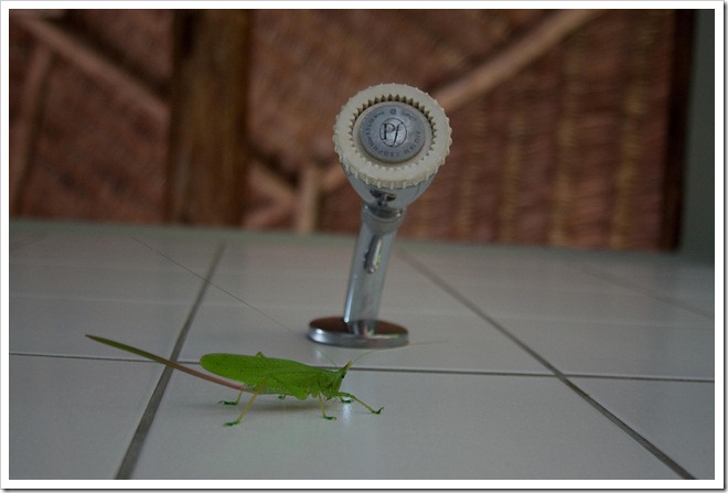 20100322 1354 Costa Rica