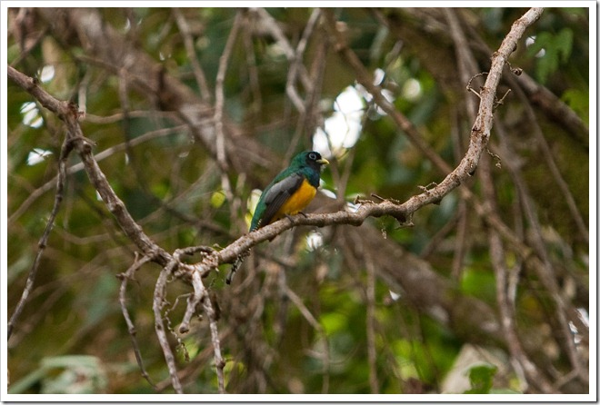 20100322 1834 Costa Rica