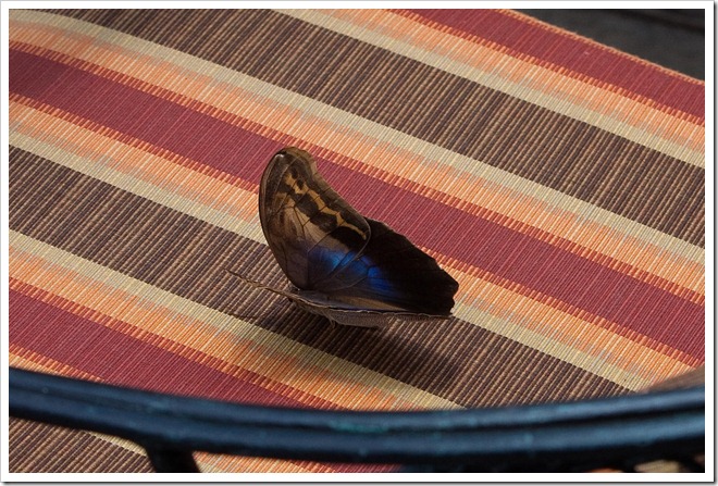 20100323 1318 Costa Rica-3