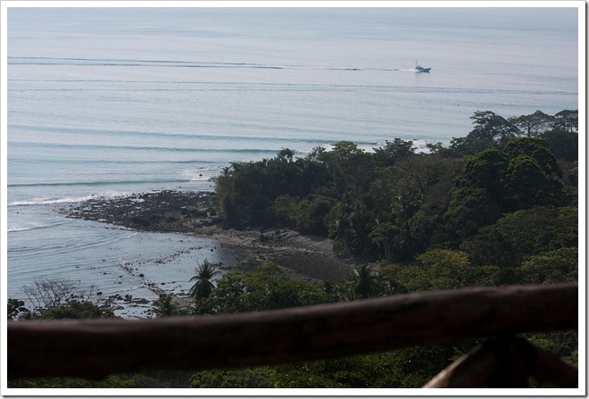 2010 March 16 Around Lapa Rios_-4