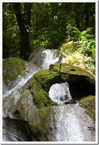 2010 March 16 First Waterfall_-6