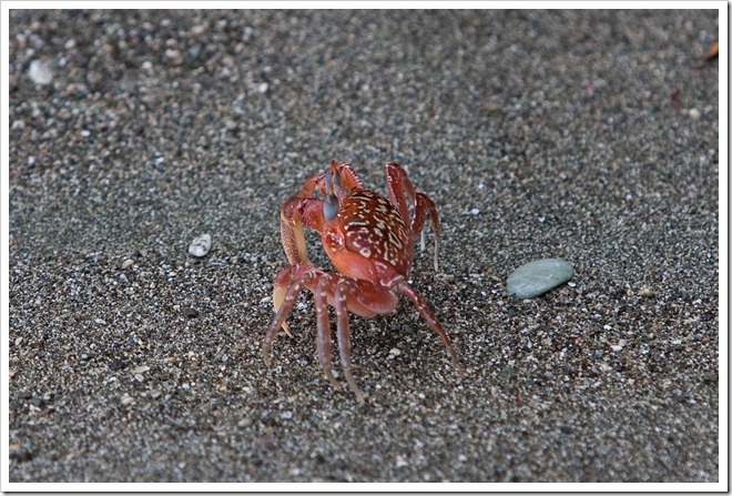 2010 March 16 On the beach_-23