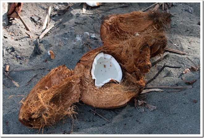 2010 March 16 On the beach_-26