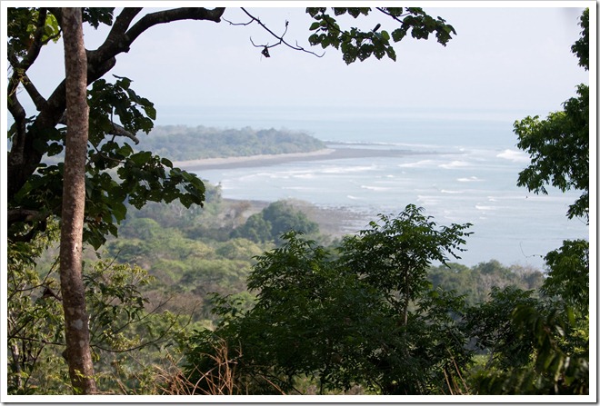2010 March 16 View from the top_-2