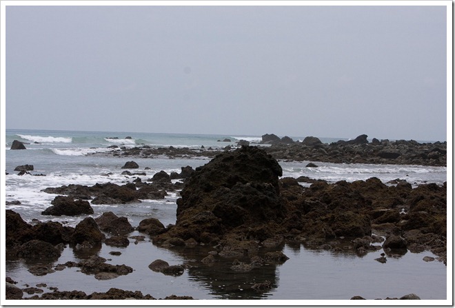 2010 March 18 starfish hunting_-20