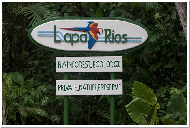 2010 March 22 Monkeys_-80