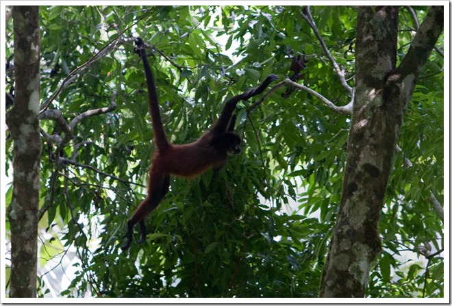 2010 03 16 16 57 Costa Rica_-3