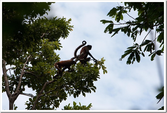 2010 03 18 19 12 Costa Rica_-12