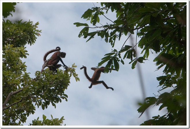 2010 03 18 19 12 Costa Rica_-13