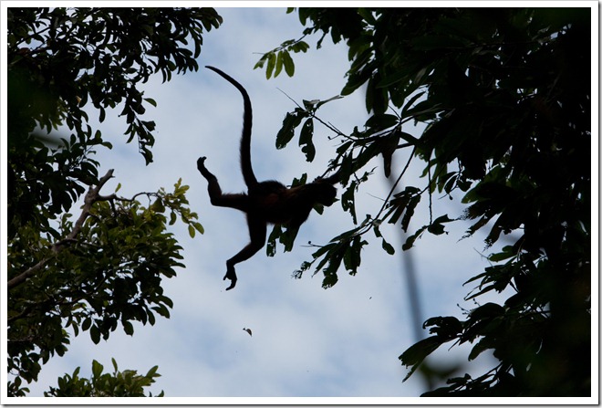 2010 03 18 19 13 Costa Rica_-12