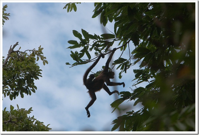2010 03 18 19 13 Costa Rica_-14