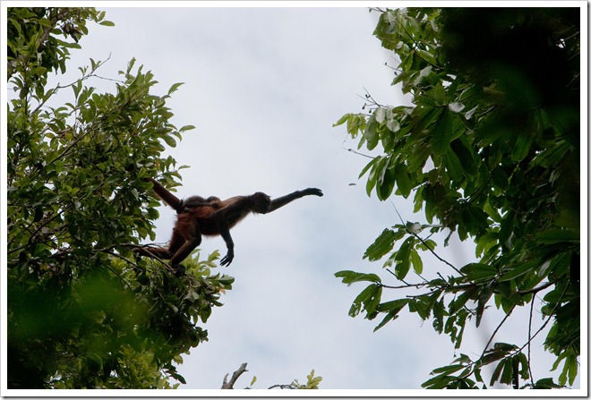 2010 03 18 19 13 Costa Rica_-3