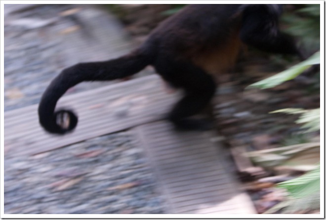 2010 03 19 15 00 Costa Rica_-17