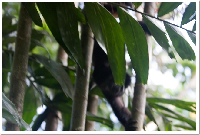 2010 03 19 15 00 Costa Rica_