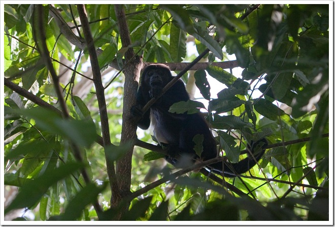 2010 03 19 15 02 Costa Rica_