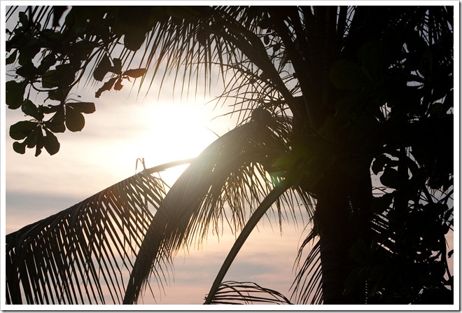 20100322 1310 Costa Rica