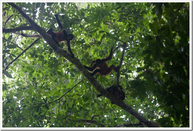 20100322 1739 Costa Rica-9