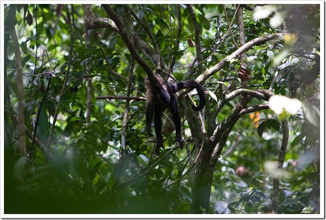 20100322 1841 Costa Rica