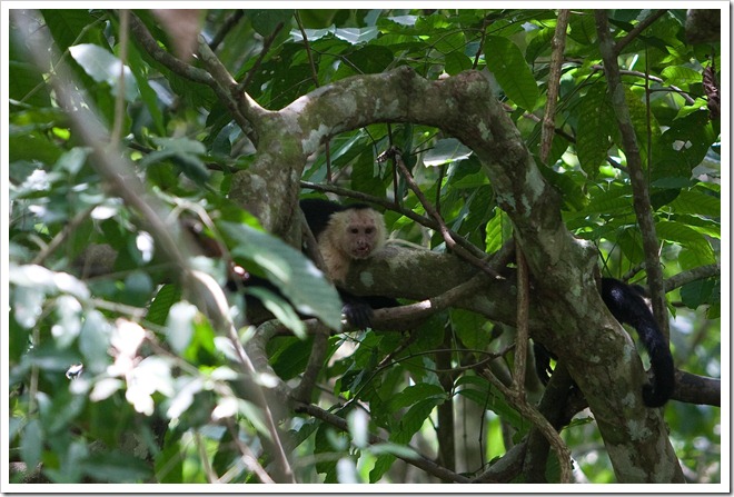 20100322 1844 Costa Rica-7