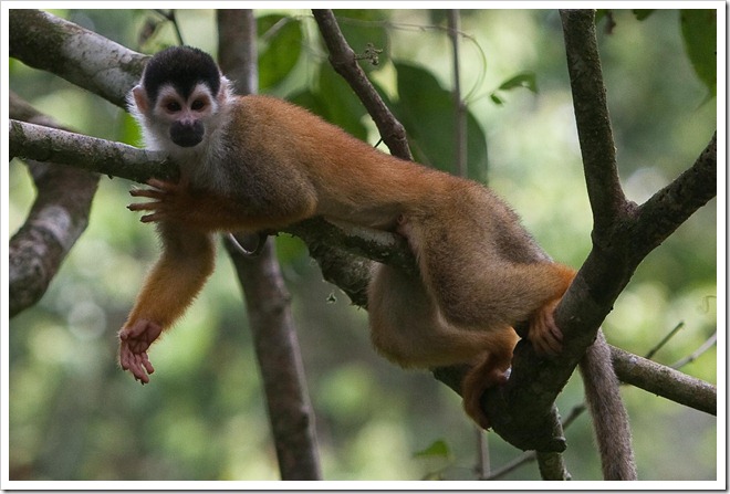 20100322 1853 Costa Rica-13