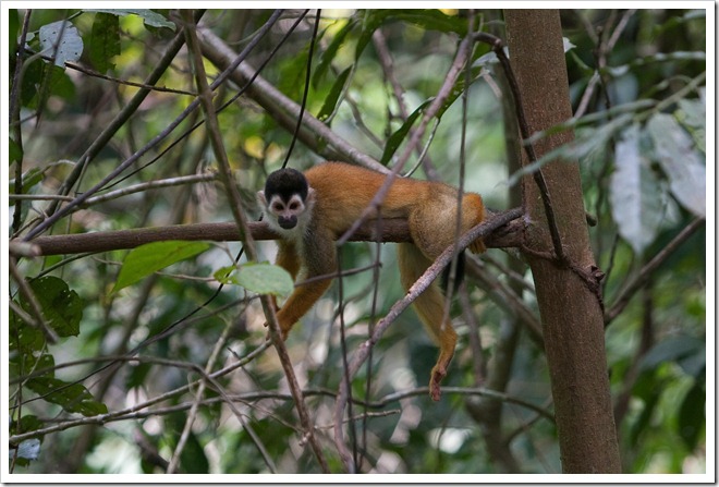 20100322 1853 Costa Rica-4