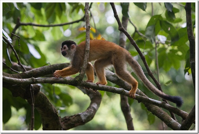 20100322 1854 Costa Rica-13