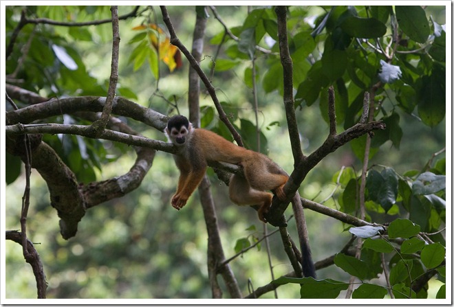 20100322 1854 Costa Rica-2