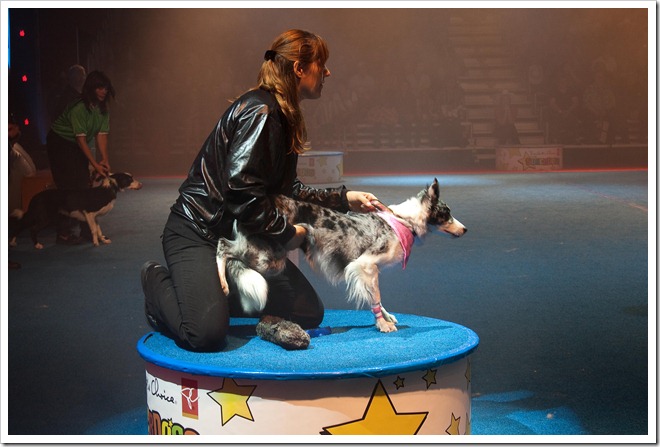 2010 07 Stampede  (8)