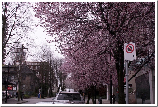 02 23 10 Olympics_-33 02 23 10 Olympics_-33