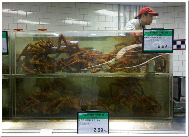 02 24 10 Olympics_-2 02 24 10 Olympics_-2