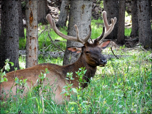 07 2010 Exploring Banff  (7)