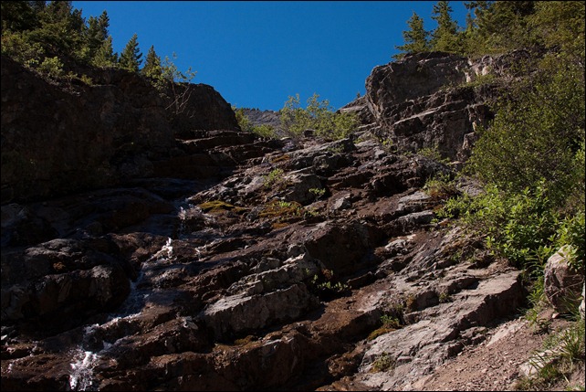 2010 07 Sulphur Mtn Banff  (24 of 105)