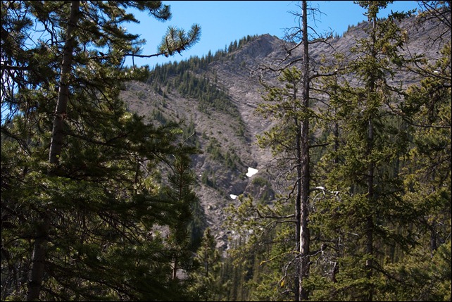 2010 07 Sulphur Mtn Banff  (38 of 105)
